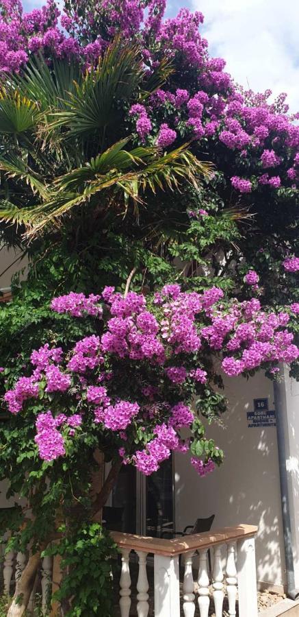ויר Apartments Kore מראה חיצוני תמונה